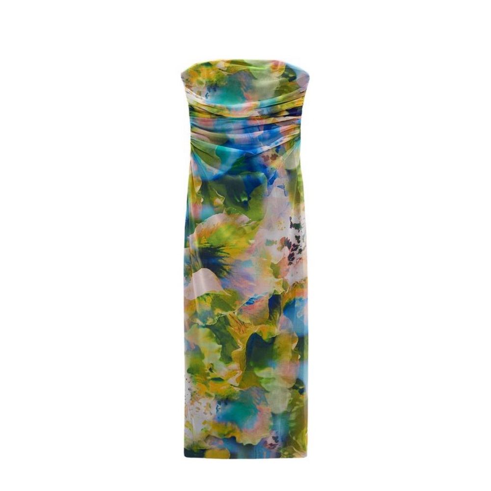 Zara Strapless Printed Dress